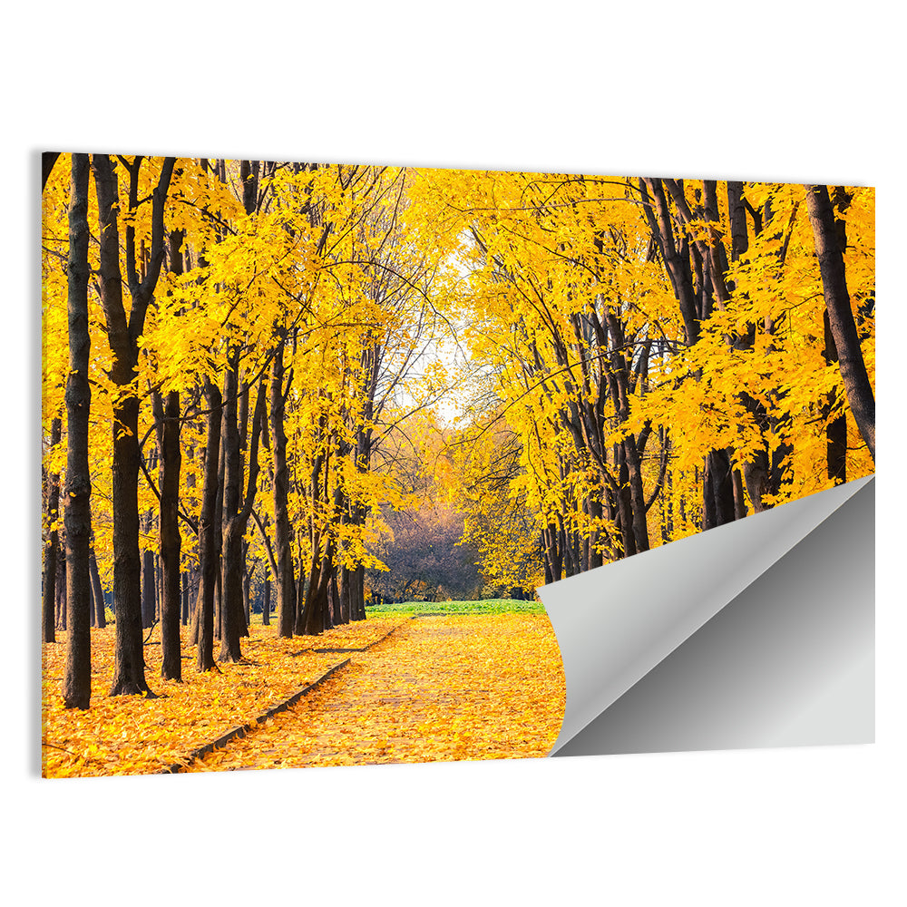 Golden Autumn Park Path Wall Art