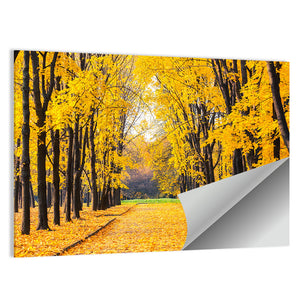Alley In Bright Autumn Park Wall Art