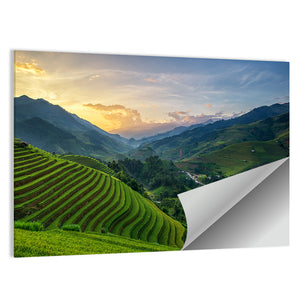 Rice Fields On Terrace Vietnam Wall Art