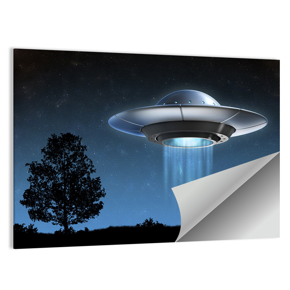 Ufo Over Silhouetted Grassland Wall Art