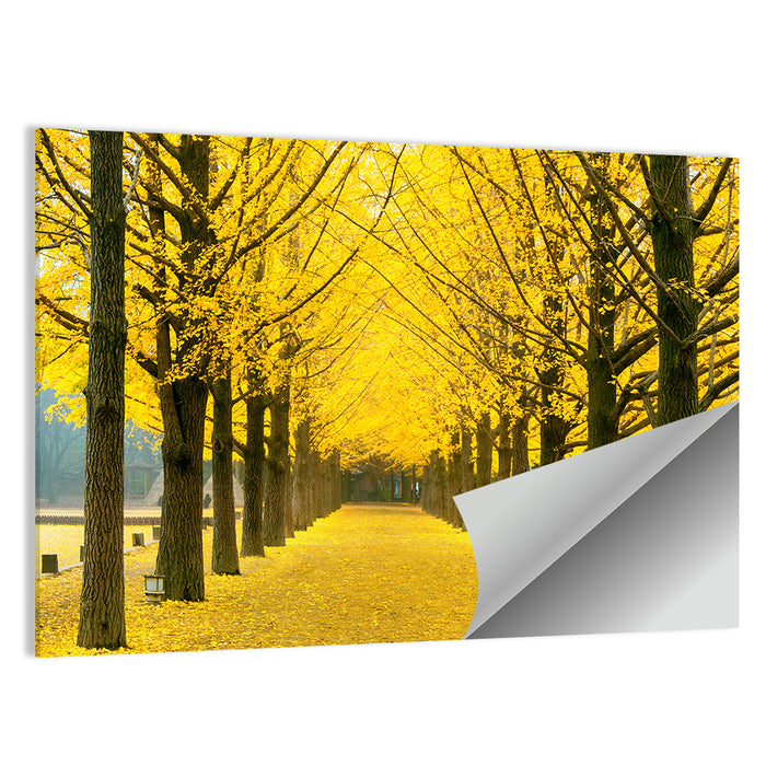 Nami Island Ginkgo Tree Tunnel Wall Art as a poster print