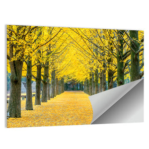 Row Of Yellow Ginkgo Tree Wall Art