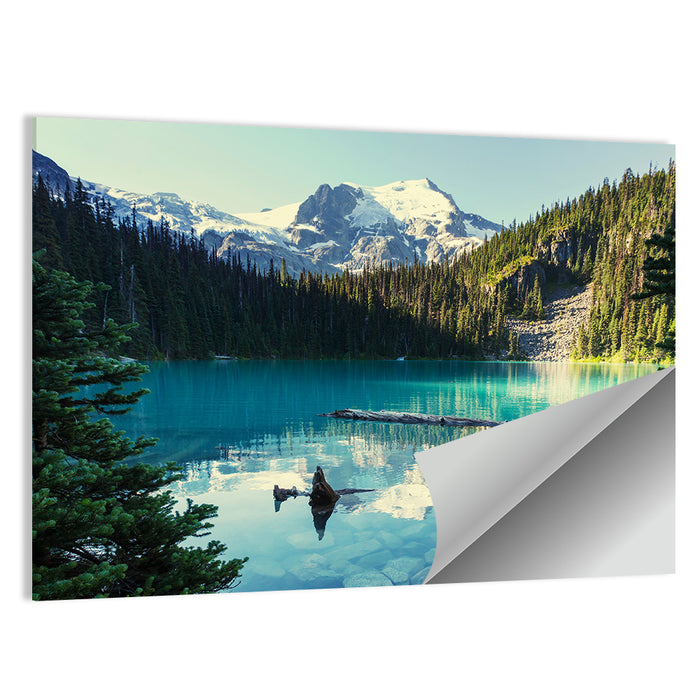 Joffre Lake, Canada Wall Art as a poster print