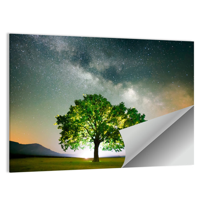 Lone Tree Under Milky Way Wall Art as a poster print