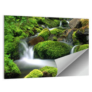 Mountain Stream Wall Art