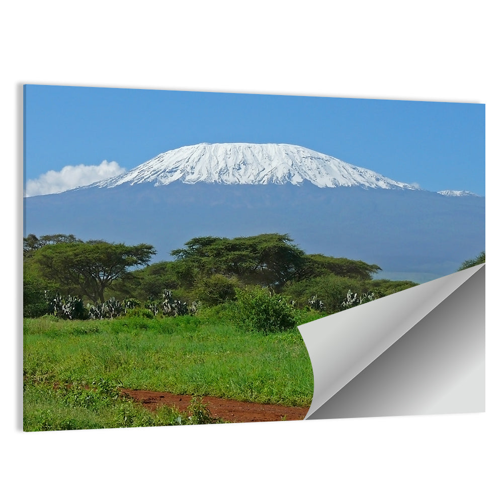 Mount Kilimanjaro Snow Capped Peak Wall Art