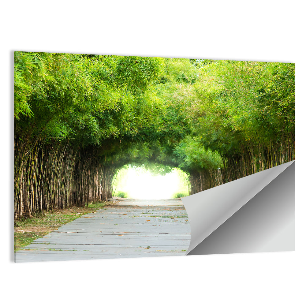 Kyoto Bamboo Canopy Walkway Wall Art