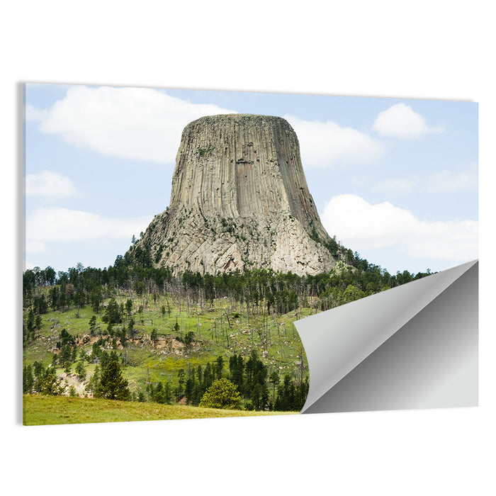 Devils Tower Columnar Monolith Wall Art as a poster print