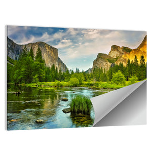 Yosemite National Park Wall Art