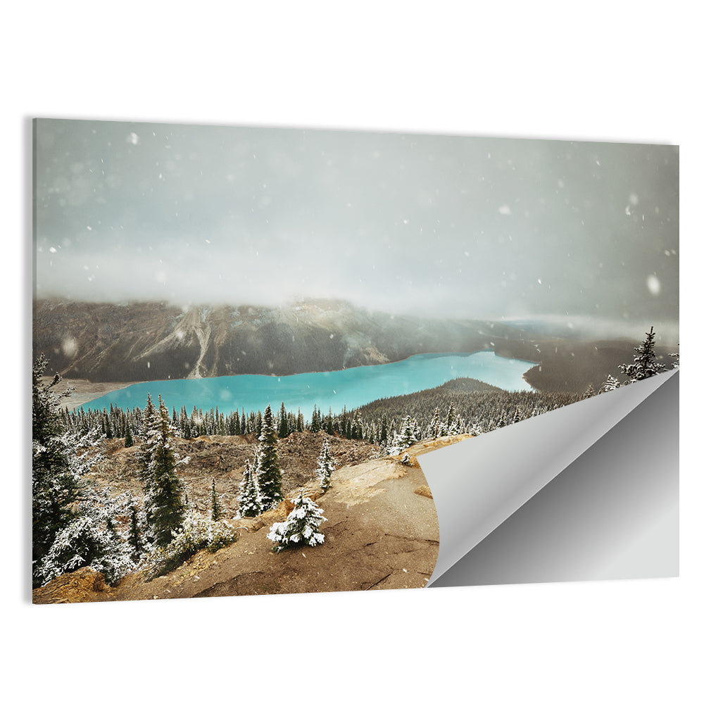 Peyto Lake In Winter Wall Art