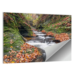 Water cascades in Warren County, Indiana Wall Art