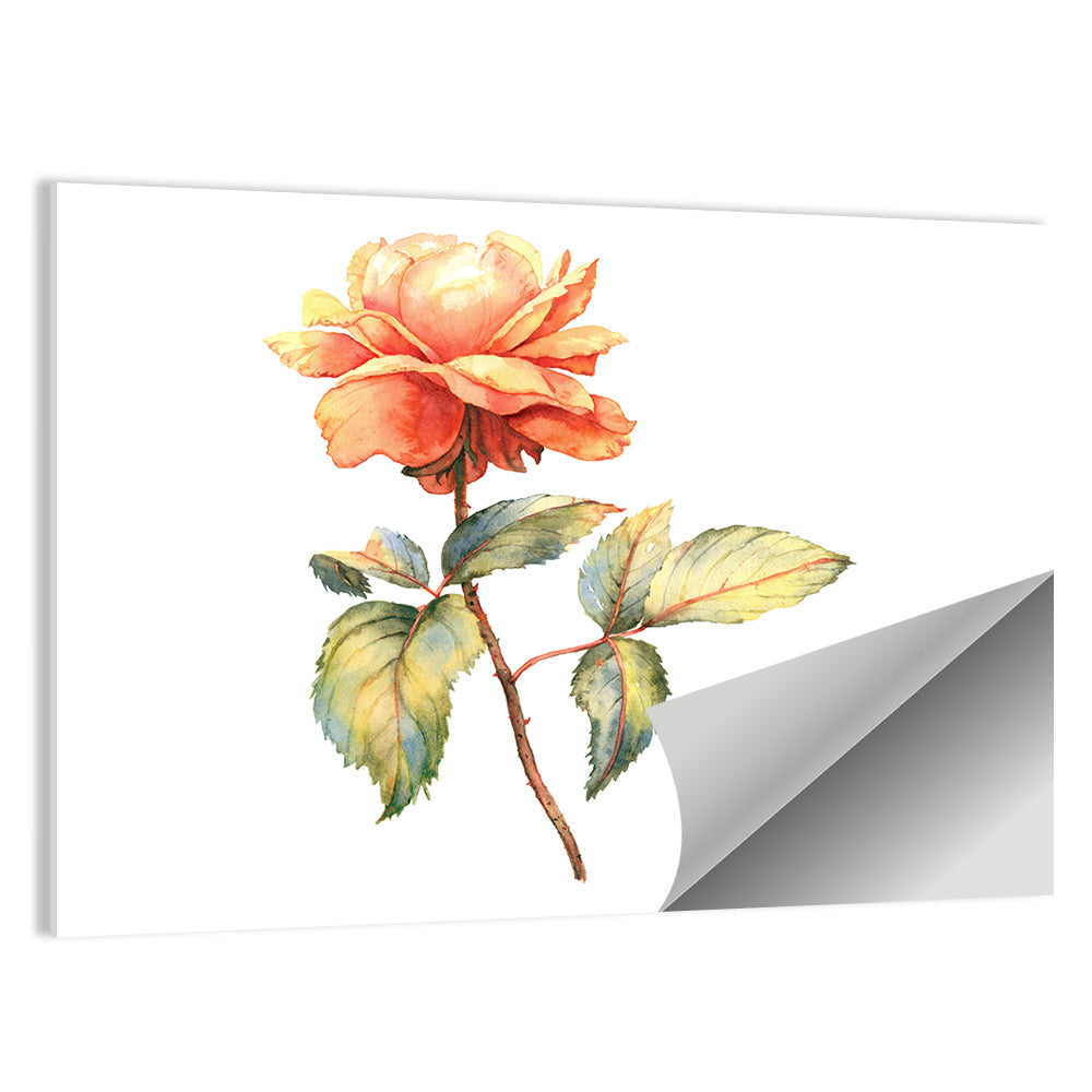 Orange Watercolor Rose Illustration Wall Art