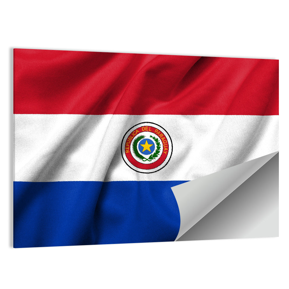 Paraguay Flag with Emblem Wall Art