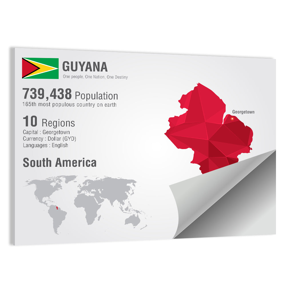 Guyana Low-poly Map Infographic Wall Art