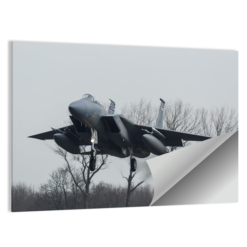 Usaf F-15 Eagle Landing Approach Wall Art