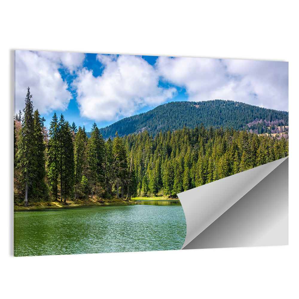 Synevir Mountain Lake Wall Art