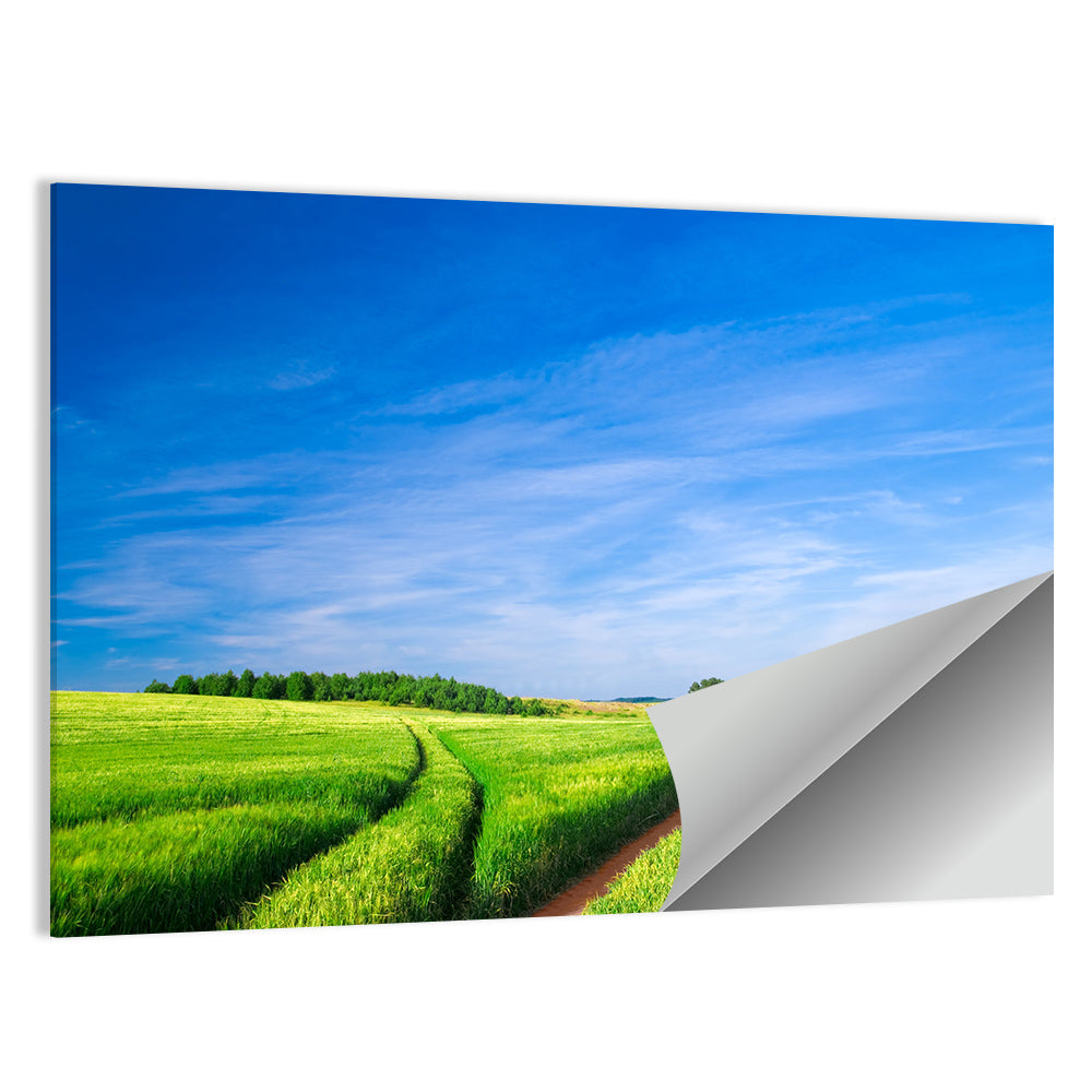 Summer Meadow with Dirt Path Wall Art