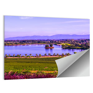 Tea Plantation With Lake In Thai Wall Art