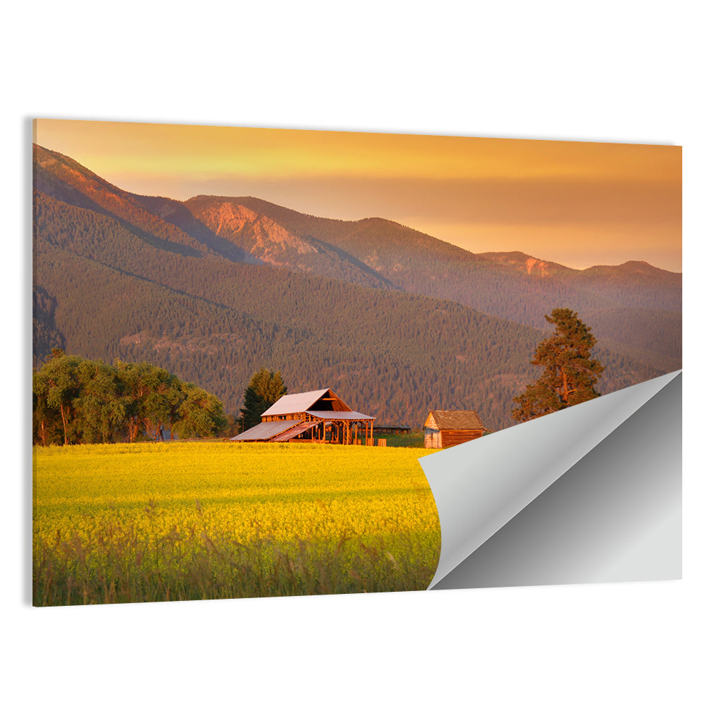 Rapeseed Field and Barn at Golden Hour Wall Art