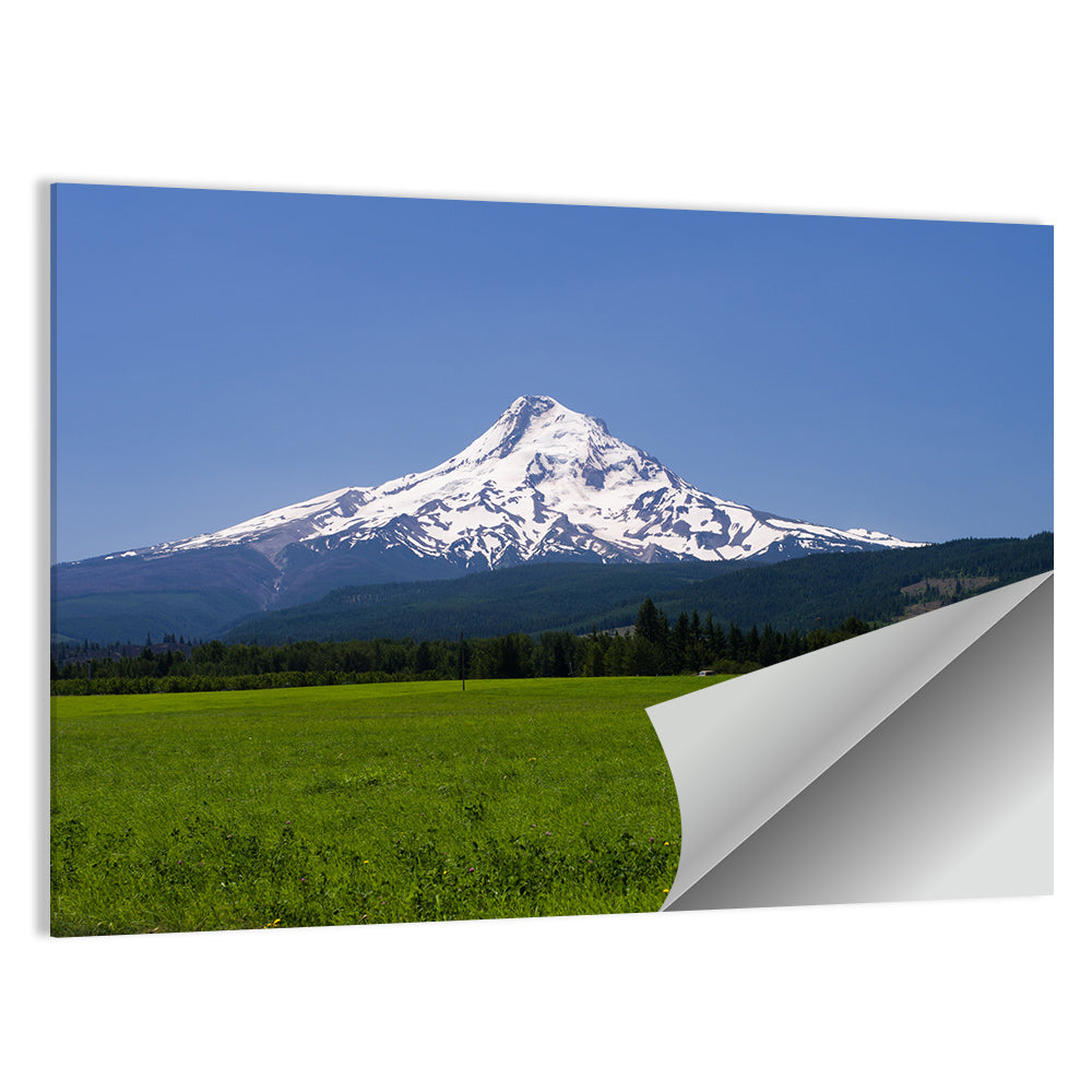 Mount Hood Meadow View Wall Art