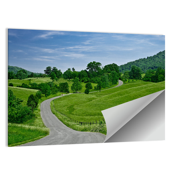 Blue Ridge Winding Road, Western Virginia Wall Art as a poster print