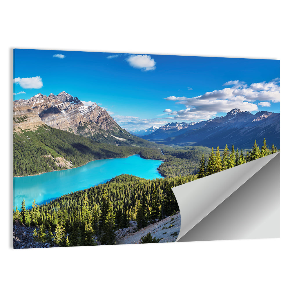 Peyto Lake, Banff National Park Wall Art