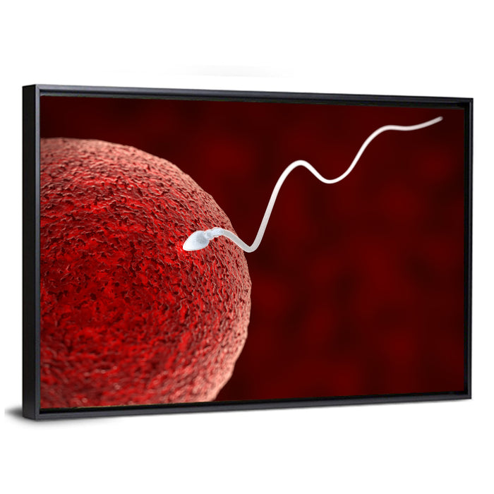 Sperm Approaching Ovum Wall Art as a framed canvas
