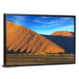 Dunes Of Namib Desert Wall Art