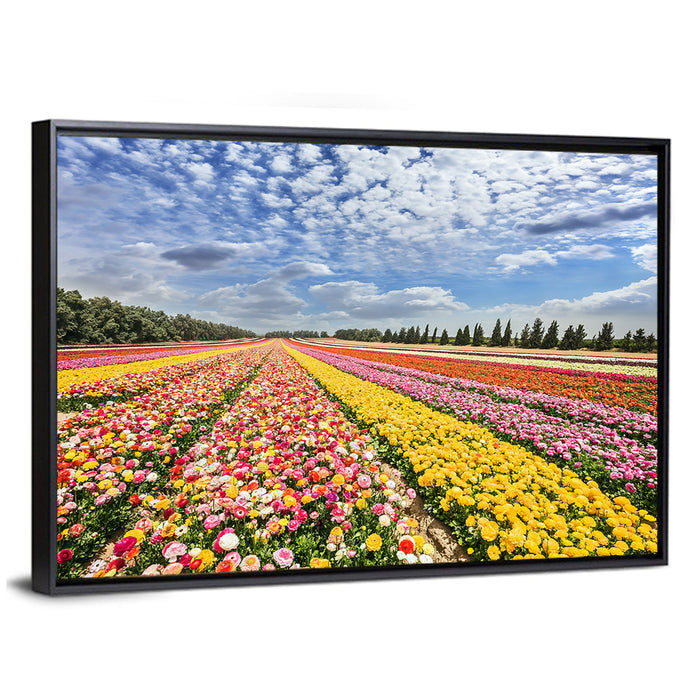 Spring Buttercup Field Wall Art as a framed canvas