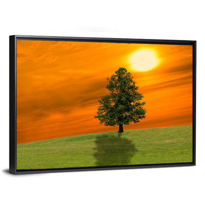 Lonely Tree On Green Field Wall Art
