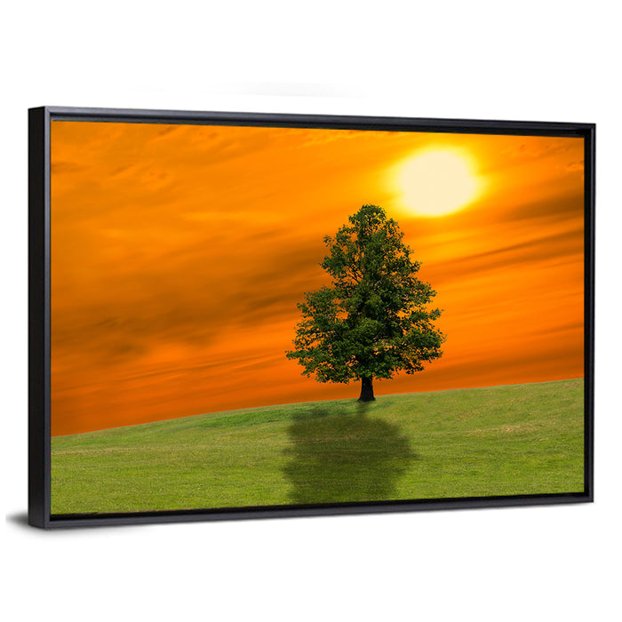Lonely Tree on Green Hill at Sunset Wall Art as a framed canvas