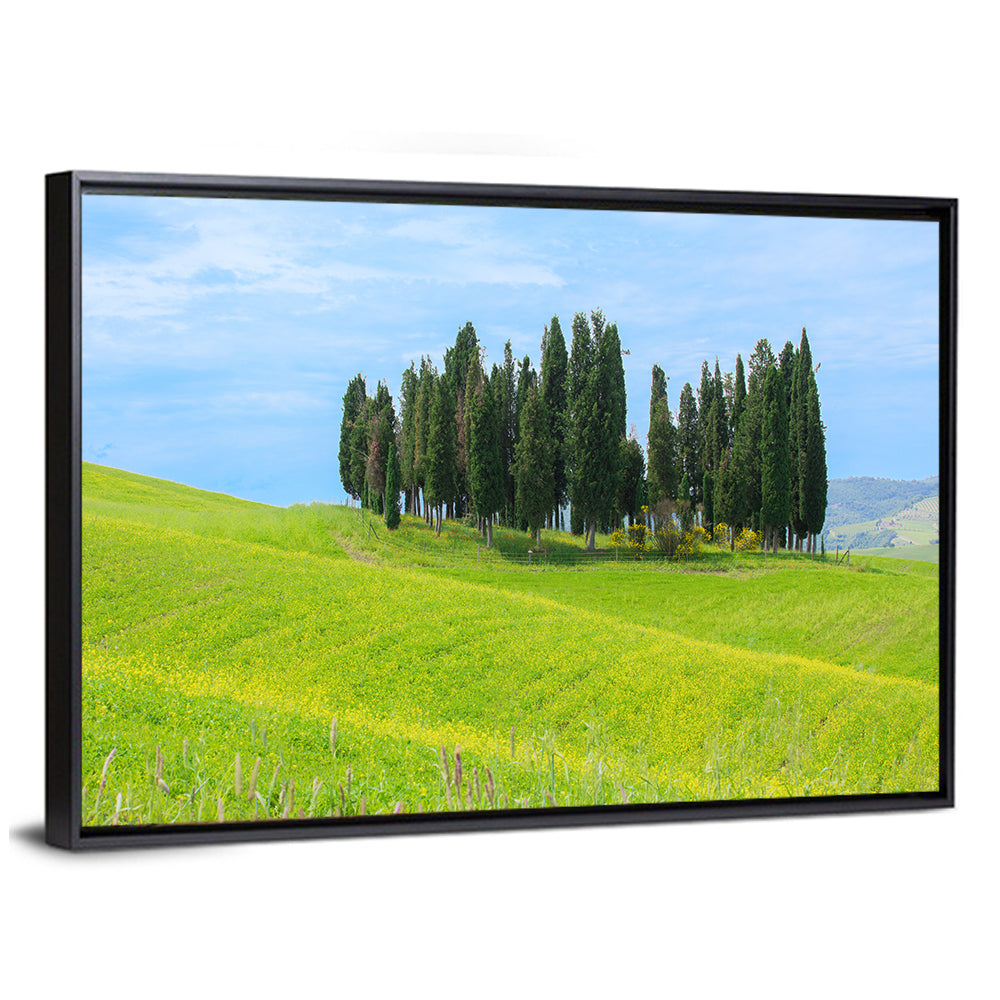 Tuscany Cypress Trees Wall Art