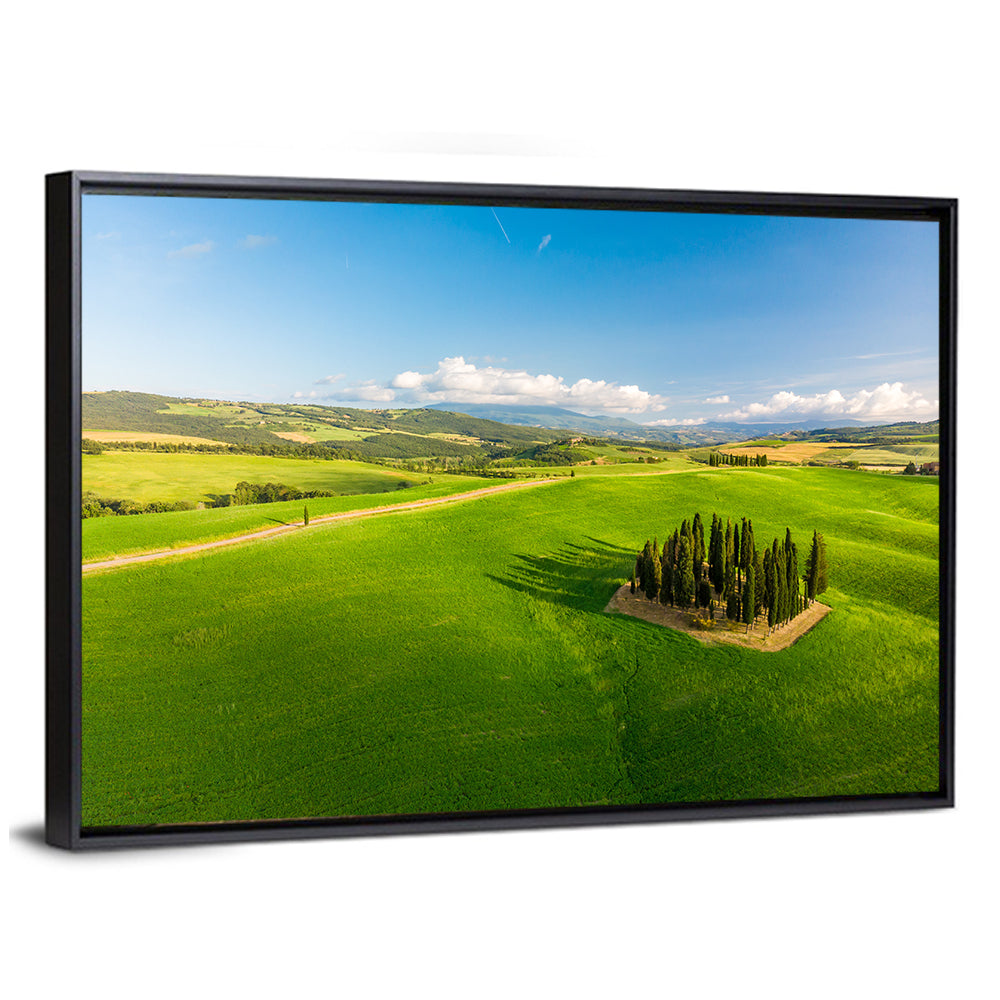 Italian Cypresses on Rolling Hills Wall Art