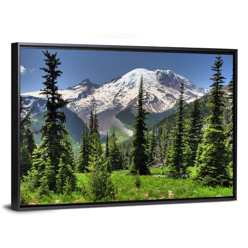 Mt Rainier & Conical Pine Trees Wall Art