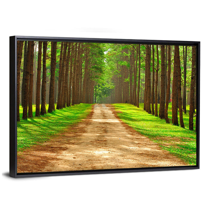 Thailand Pine Forest Path Wall Art as a framed canvas