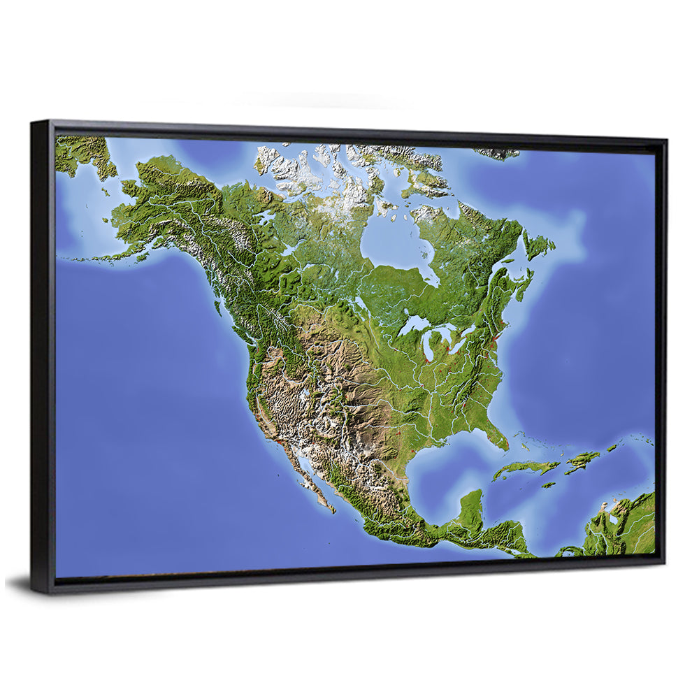 North America Topographic Map Wall Art