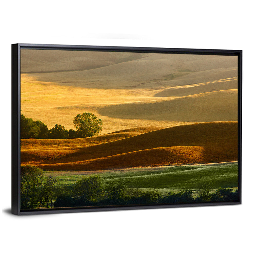 Golden Hills of Tuscany Wall Art