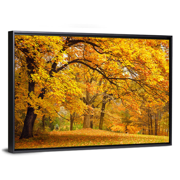 Golden Canopy in Autumn Park Wall Art as a framed canvas
