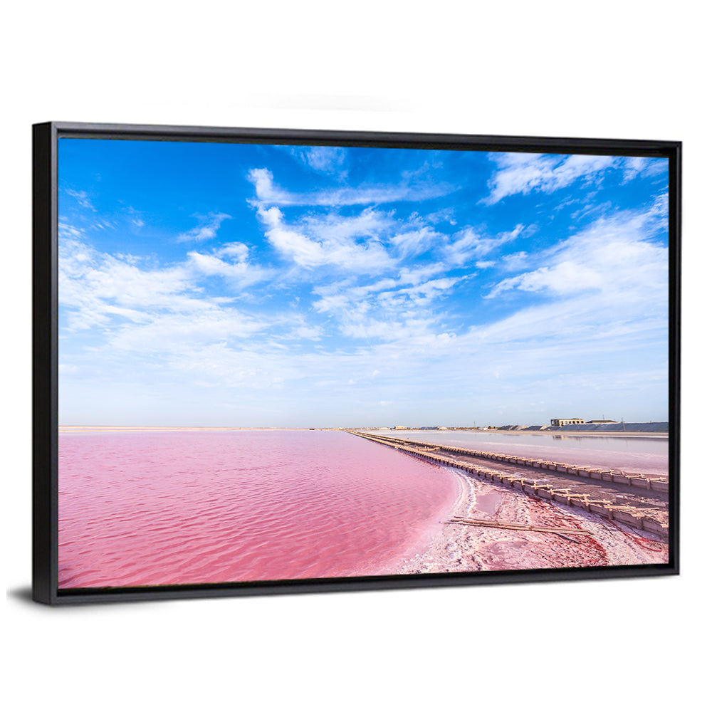 Pink Salt Lake Boardwalk Wall Art