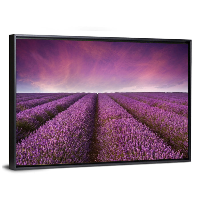 Lavender Field Sunset Wall Art as a framed canvas