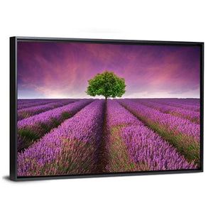 Summer Lavender Field Wall Art