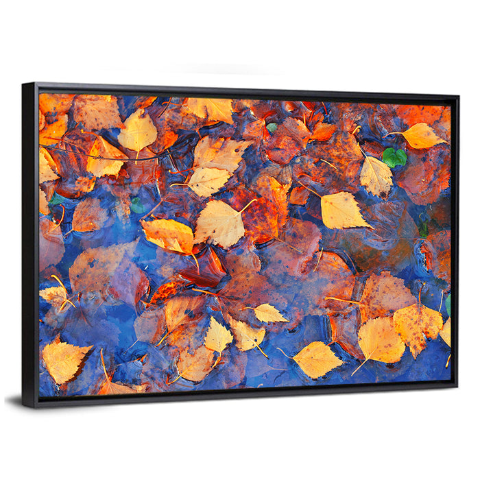 Birch Leaves in Rain Puddle Wall Art as a framed canvas