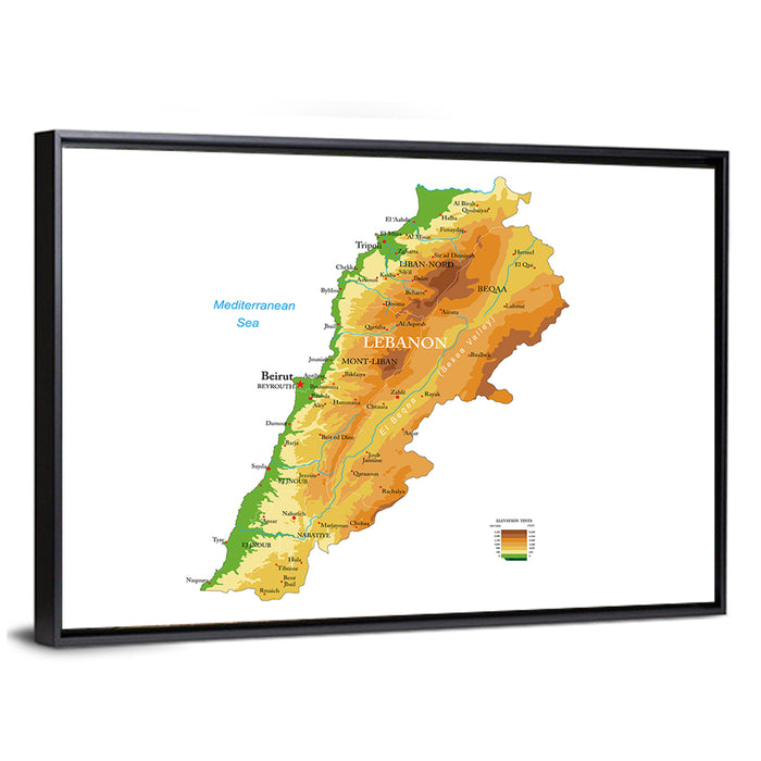 Lebanon Terrain Map Wall Art as a framed canvas