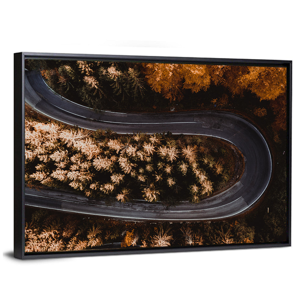 Hairpin Turn in Autumn Forest Wall Art