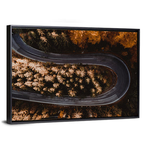 Winding Forest Road In Mountains Wall Art