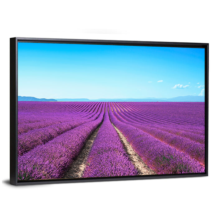 Lavender Flower Fields Wall Art as a framed canvas