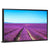 Lavender Flower Fields Wall Art