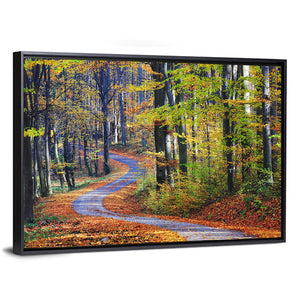 Winding Path Through Autumn Forest Wall Art