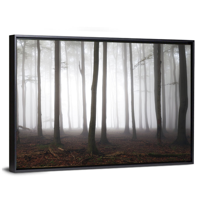 Misty Forest Perspective Wall Art as a framed canvas