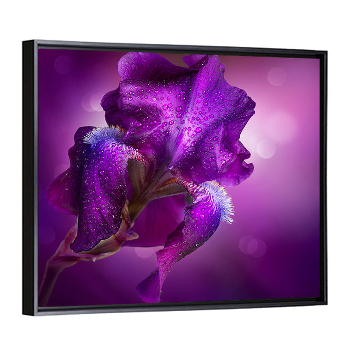Purple Iris Macro Wall Art as a framed canvas